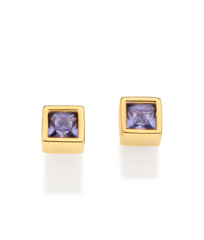 GOLD FOREVER SHINE STUF EARRINGS IN PURPLE