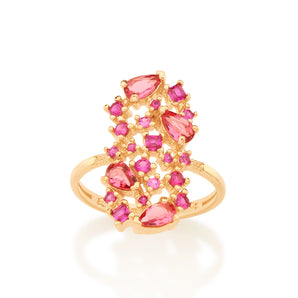 GOLD RING WITH CRYSTAL AND ZIRCONIA