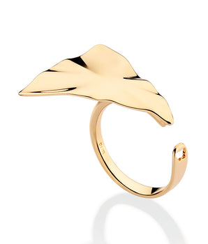GOLD TIME CAPSULE MAXI RING