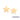 GOLD STAR MAXI BUTTON EARRINGS
