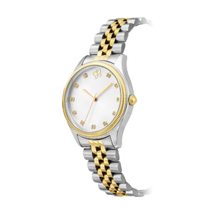DUO-TONE TWILIGHT ANALOG WATCH